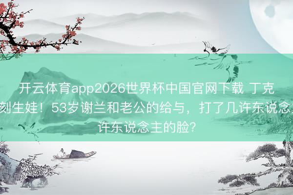 开云体育app2026世界杯中国官网下载 丁克11年片刻生娃！53岁谢兰和老公的给与，打了几许东说念主的脸？