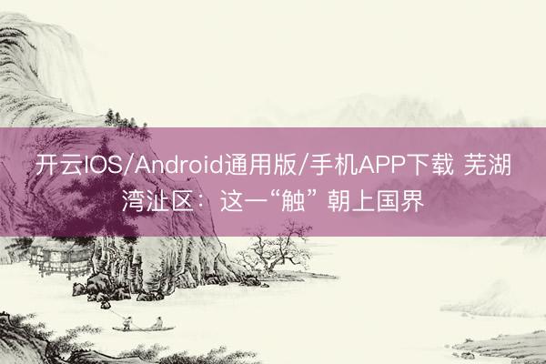 开云IOS/Android通用版/手机APP下载 芜湖湾沚区：这一“触” 朝上国界
