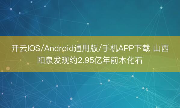 开云IOS/Android通用版/手机APP下载 山西阳泉发现约2.95亿年前木化石